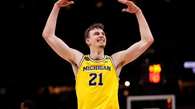 供了多种查 供了多种查